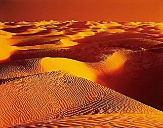 宛如置身未来 《赛博朋克2077》游戏摄影欣赏